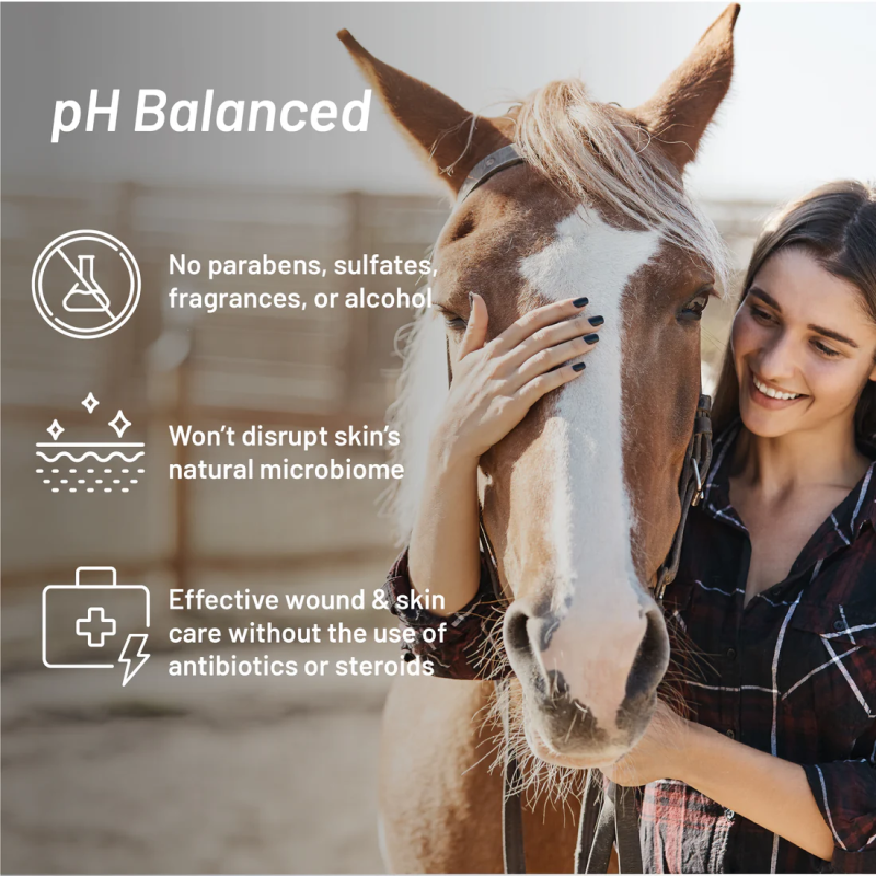 Absorbine Medicinální léčivý šampon pro koně Silver Honey Shampoo Absorbine Medicinální léčivý šampon pro koně Silver Honey Shampoo