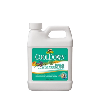 Absorbine Cool down, kanyster 946 ml